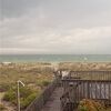 beachmonkey275